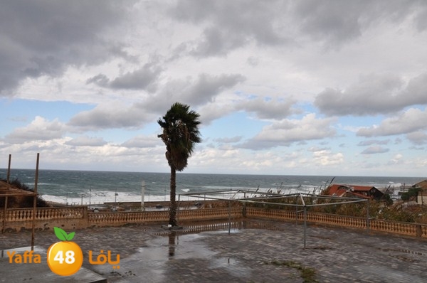 yaffa rain 1211 (16).JPG